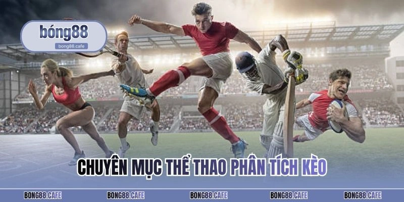 Chuyên mục thể thao phân tích kèo