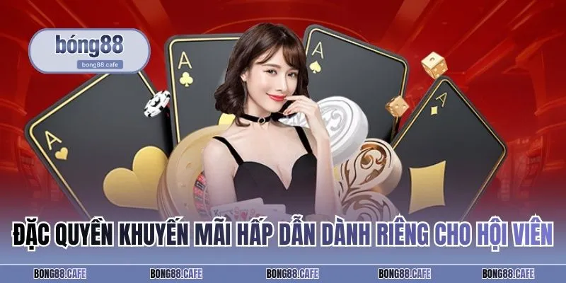 Đặc quyền khuyến mãi hấp dẫn dành riêng cho hội viên