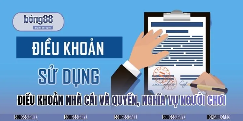 Điều khoản sử dụng nhà cái và quyền, nghĩa vụ người chơi