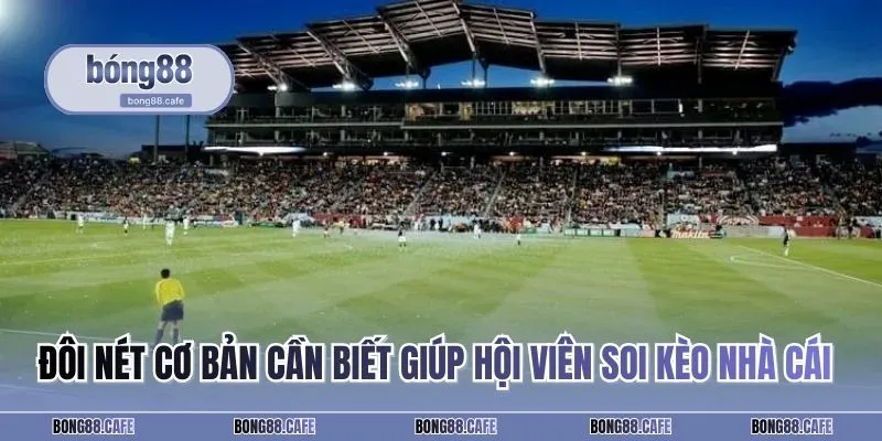 Đôi nét cơ bản cần biết giúp hội viên soi kèo nhà cái hiệu quả