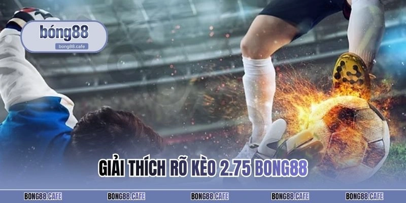 Giải thích rõ kèo 2.75 BONG88
