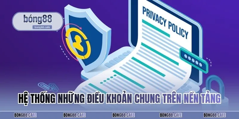 Hệ thống những điều khoản chung trên nền tảng