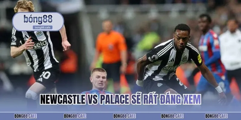 Newcastle vs Palace sẽ rất đáng xem