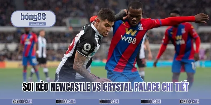 Soi kèo Newcastle vs Crystal Palace chi tiết