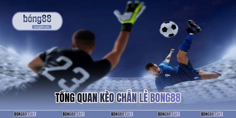 Tổng quan kèo chẵn lẻ BONG88